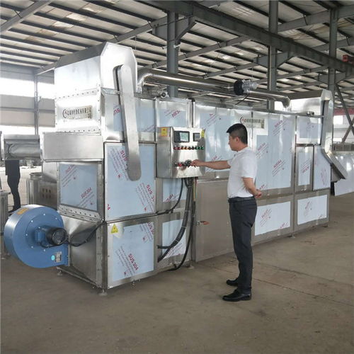 諸城市旺源機(jī)械 巴菊花熱風(fēng)循環(huán)烘干機(jī)價(jià)格解析與專業(yè)計(jì)算機(jī)房維護(hù)服務(wù)指南