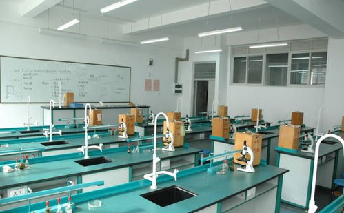 量子鬼才歸國記 一條短信引發的科技彎道超車